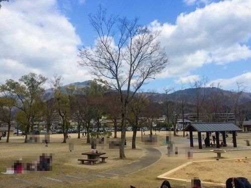 宝が池公園の画像