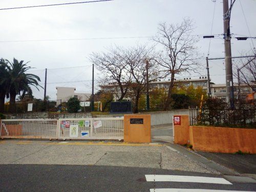 横須賀市立武山小学校の画像