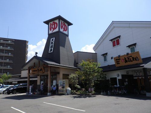 天然温泉 天の川の画像