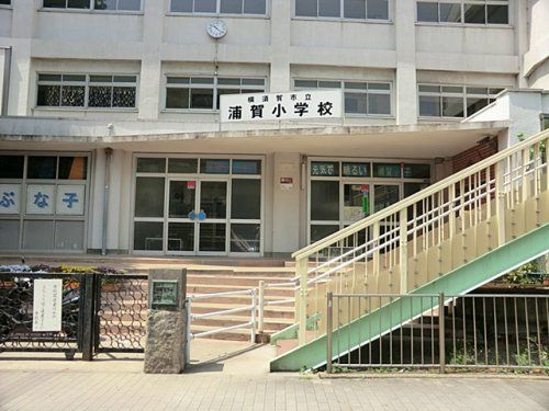浦賀小学校の画像