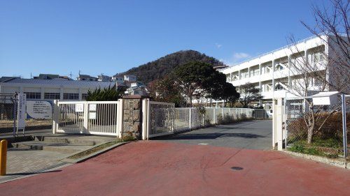 葉山町立一色小学校の画像