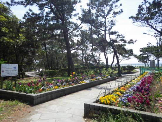 神奈川県立葉山公園の画像