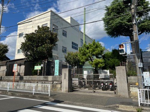 横浜市立一本松小学校の画像