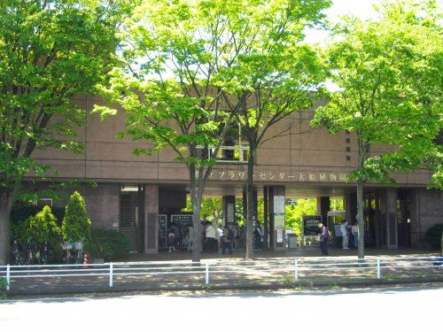  神奈川県立フラワーセンター大船植物園の画像