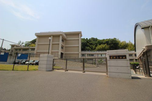 浦郷小学校の画像