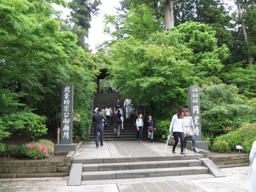 臨済宗大本山 円覚寺の画像