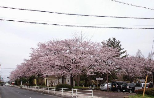 吉羽公園の画像