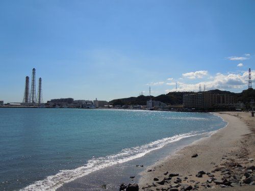 久里浜海岸の画像