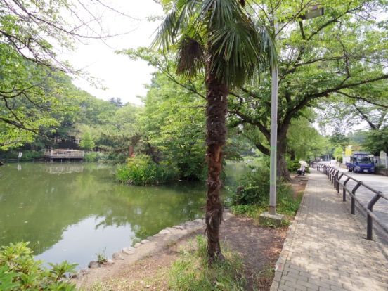 東京都立石神井公園の画像