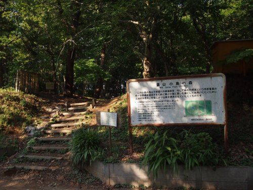 栗山小鳥の森の画像