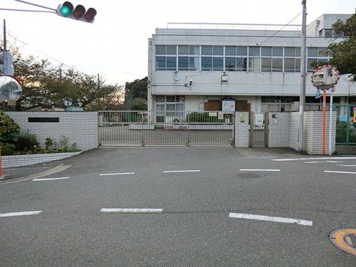 横浜市立 瀬ケ崎小学校の画像