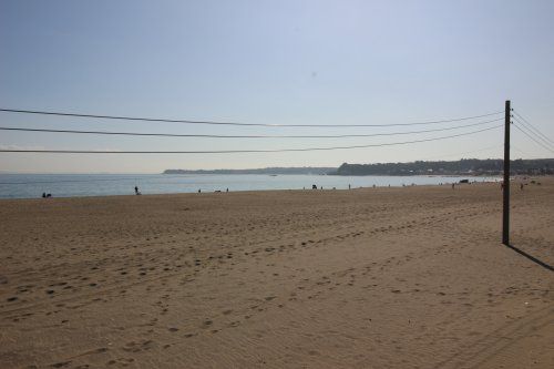 三浦海岸海水浴場の画像