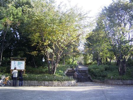 羽根木公園の画像