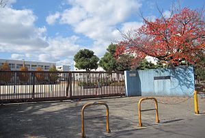 庄栄小学校の画像