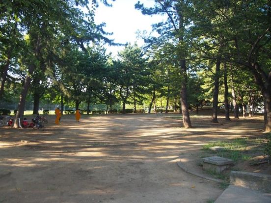 一本松公園の画像