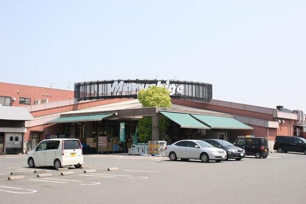 サンディ　大和小泉店の画像