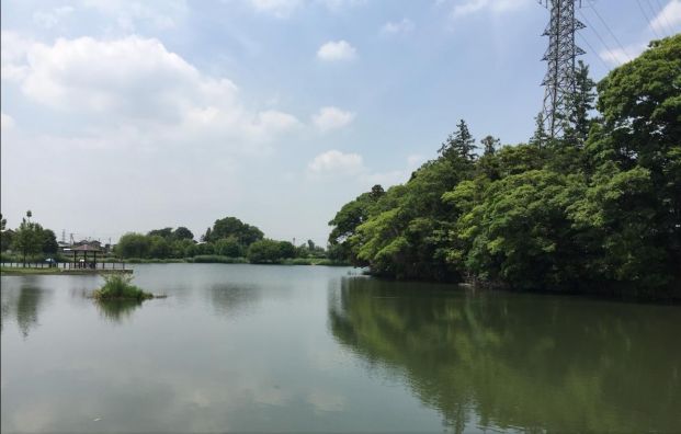 高須賀池公園の画像