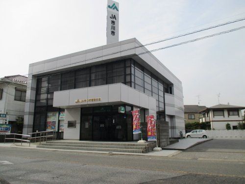 ＪＡいちかわ 菅野支店の画像