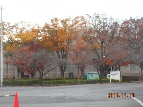 本庄市民文化会館の画像