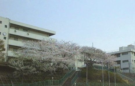 横浜市立屏風浦小学校の画像