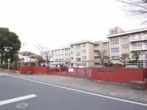 前橋市立新田小学校の画像