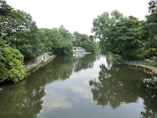 武蔵関公園の画像