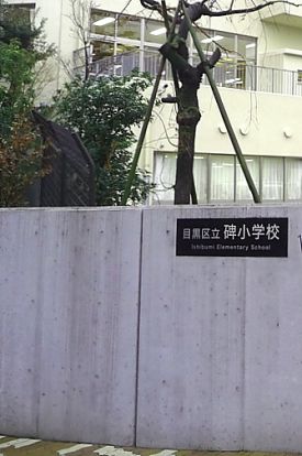 碑小学校の画像