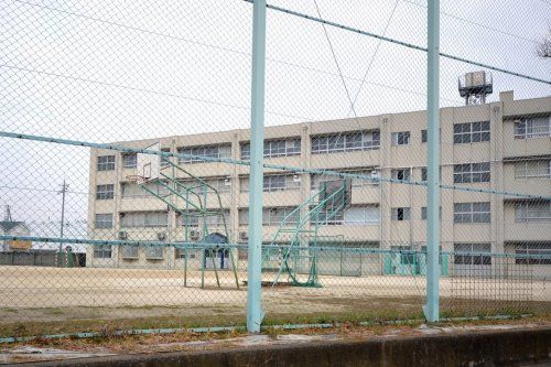 浜寺中学校の画像