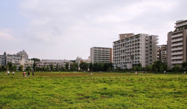 杉並区立桃井原っぱ公園の画像