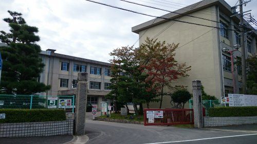 駒場小学校の画像