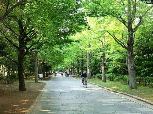 夏の雲公園の画像