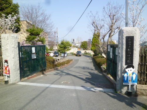 京都市立 松陽小学校の画像