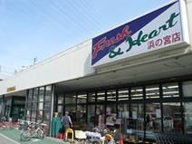 マルアイ 浜の宮店の画像