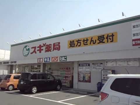 スギ薬局東加古川店の画像