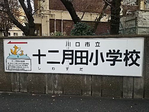 川口市立十二月田小学校の画像