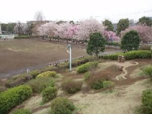 文理台公園の画像