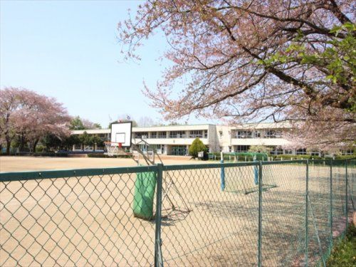 手代木南小学校の画像