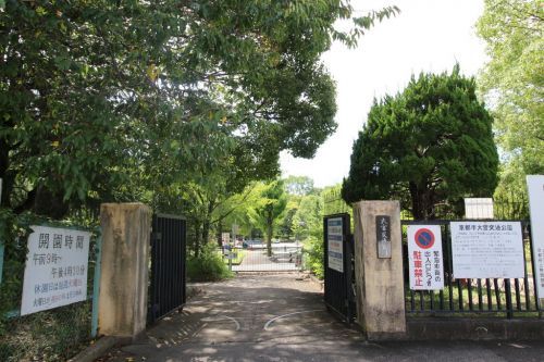 大宮交通公園の画像