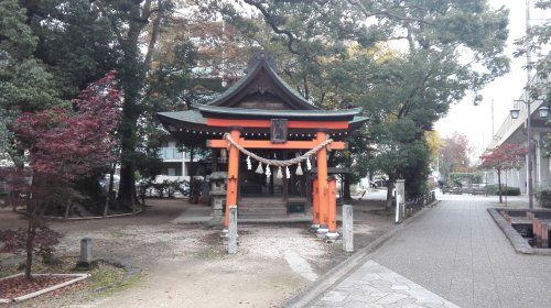 若宮八幡社 大楠の画像