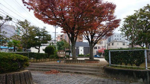 大徳公園の画像