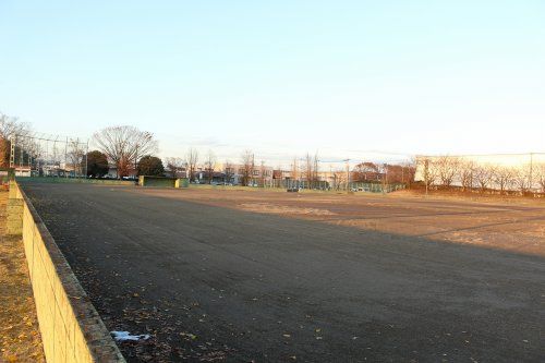 自然の森公園の画像