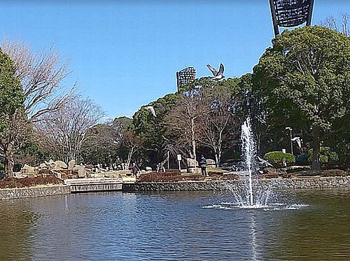 平塚市総合公園の画像