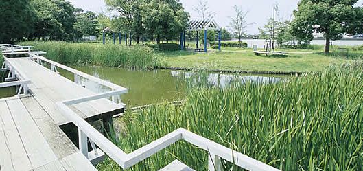 舟渡池公園の画像