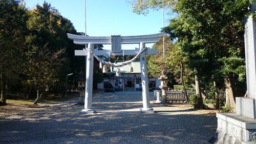 津島神社の画像