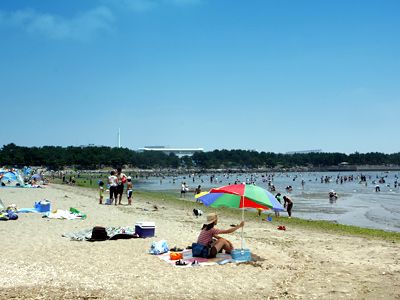 海の公園の画像