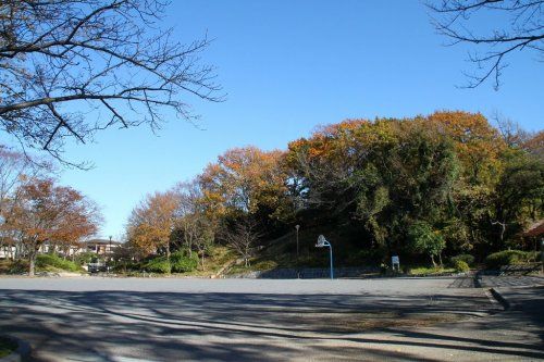 桂山公園の画像