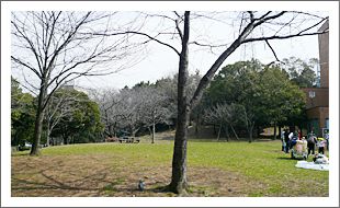 洋光台駅前公園の画像