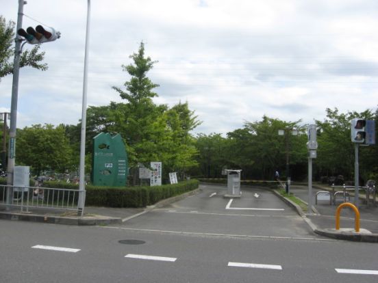 芥川緑地公園の画像