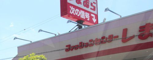 しまむら古市店の画像