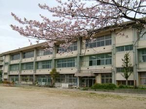 八尾市立 桂小学校の画像